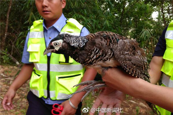 邢佳栋《空降利刃》开播 特一营营长潘野“铁腕”出场