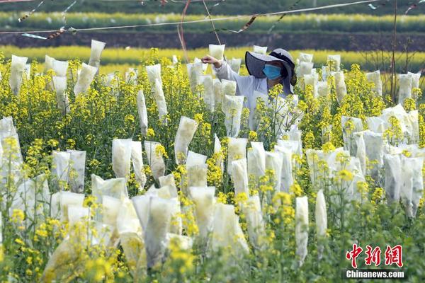 李可周建文全文在线阅读 父子眼瞎，蠢死拉倒小说全本无弹窗