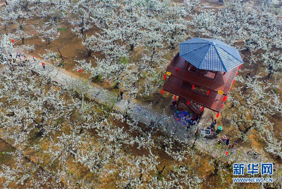 玩梗之作《西虹市首富》呼吁统一 王思聪马冬梅郜林都出场了